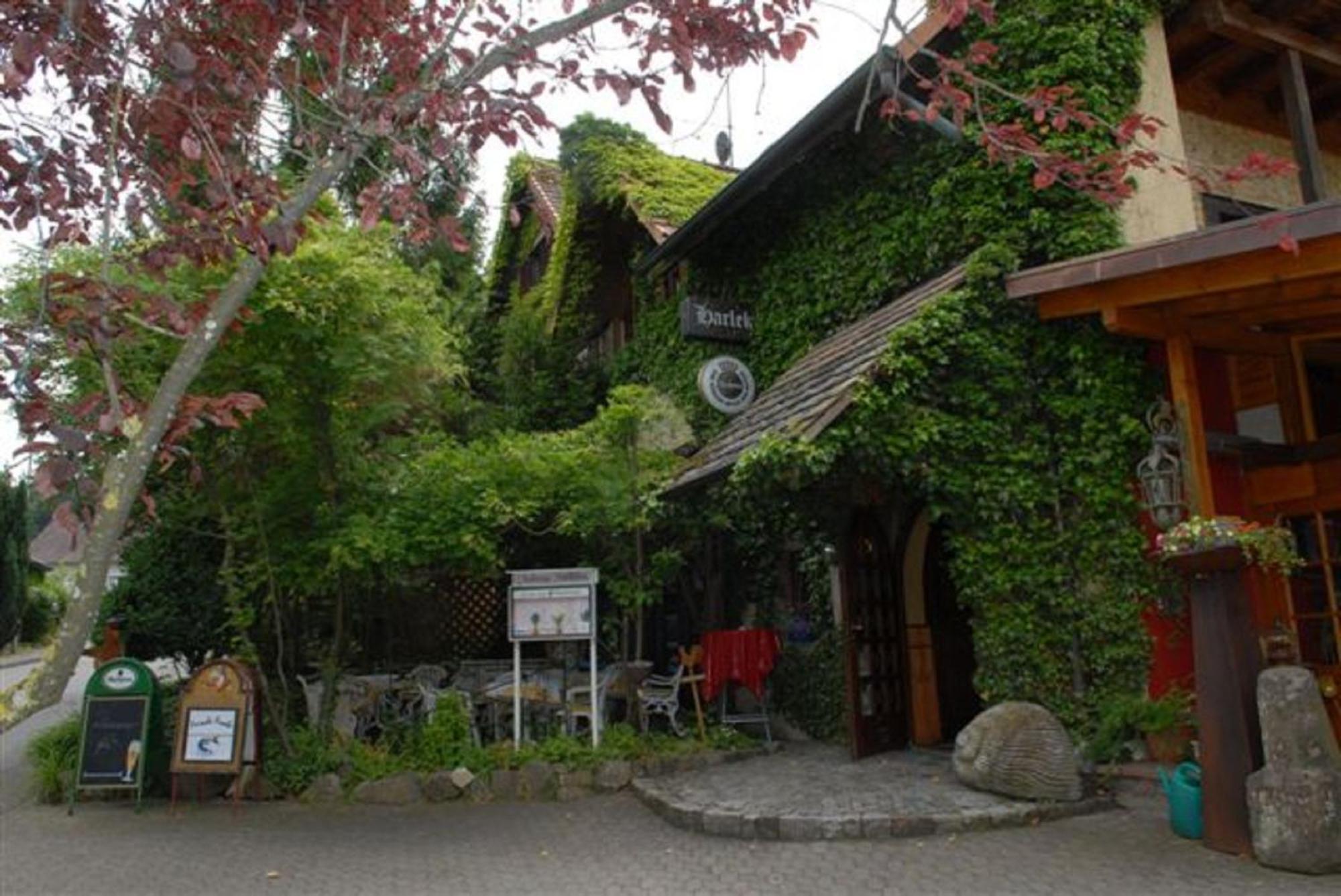 Randegg 奥特施雷内里哈勒金宾馆酒店 外观 照片